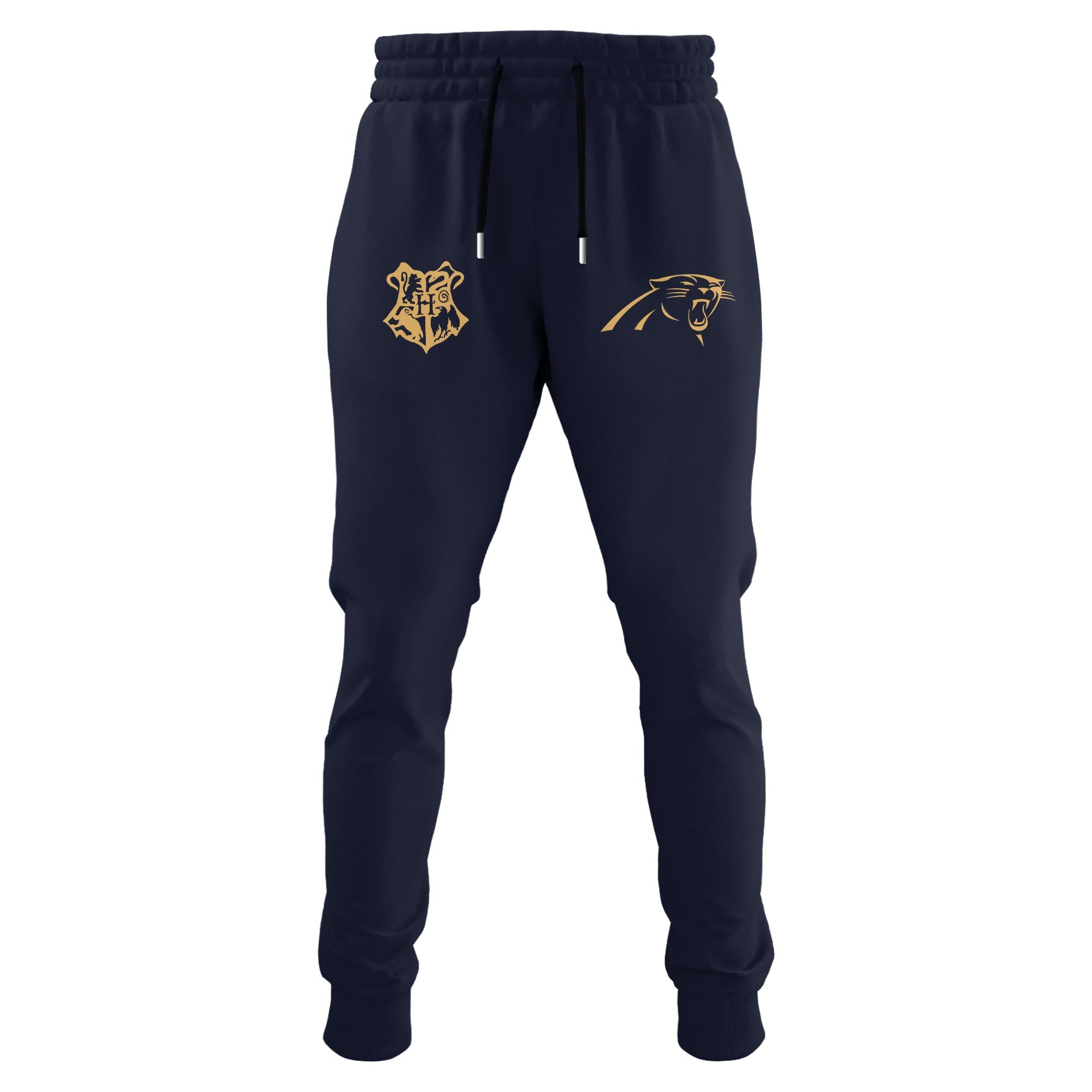 Unisex CAR Panthers x Hogwarts Enchanted Crossover Hoodie